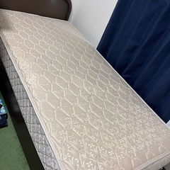 シングルベット