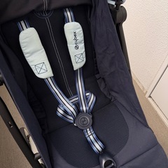 オルフェオ　2024年購入の画像