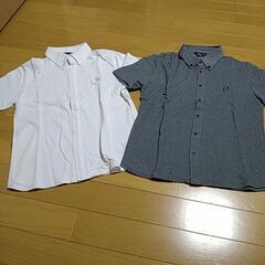 140コムサ　セット