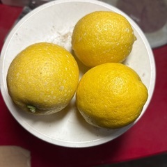 今治市発　家庭用レモン　7㎏の画像