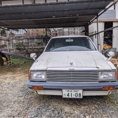 ローレル