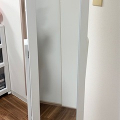 【沢良宜】アクセサリー収納つき姿見