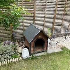 犬部屋