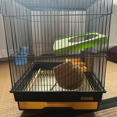 【決まりました】鳥かご　