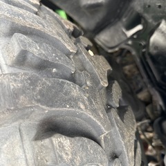 アクセレラ　BADAK X-TREME 31×10.5-15LT の画像