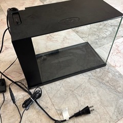 【難あり】小型水槽　ラクテリア
