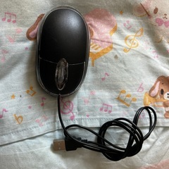 マウス