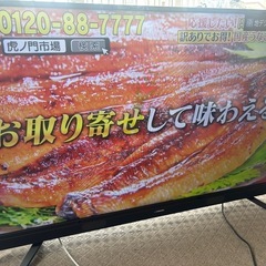 MAXZEN 55型　液晶テレビJ55SK03