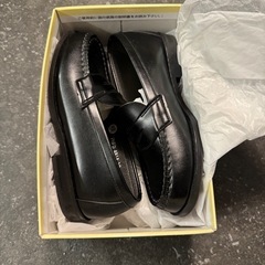 ハルタローファー　19センチ