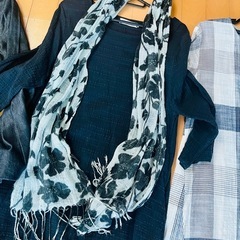 服とストール　おまけヒール靴の画像