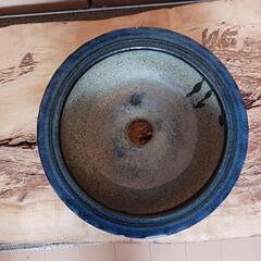 盆栽鉢　大きめ　使用品の画像
