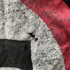 90sヴィンテージ！BAD RELIGION  tシャツの画像