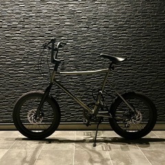 Ter amp f1