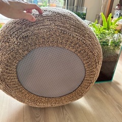 サンダレードの画像