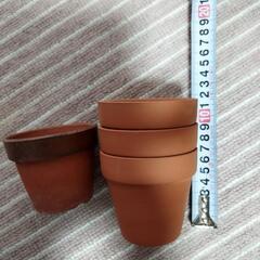 小さい鉢の画像