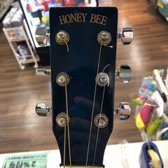 【ジャングルジャングル石津店】HONEY BEE ハニービー アコースティックギター フォークギタータイプ F-15 BLS 堺市 石津の画像