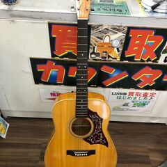 【ジャングルジャングル石津店】Zen-on F-170 Acou...