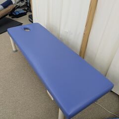 高田ベッド（電動昇降ベッド、温熱シート内蔵）、トータルジムXLS（ホームジム、TOTAL GYM XLS）のセット！！の画像