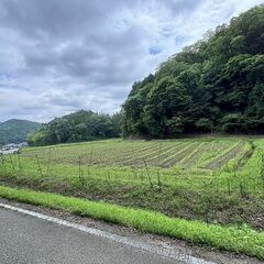 丹波篠山市箱谷　貸農地
