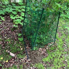 動物避けネットと杭