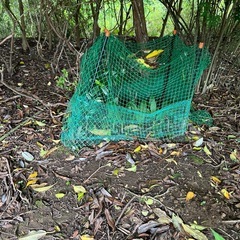 動物避けネットと杭の画像