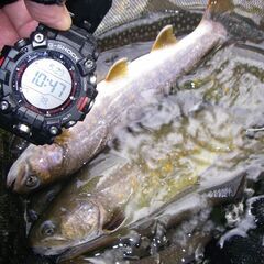 渓流釣り　釣った渓流魚を自慢し合える仲間募集