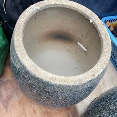 咬筋の画像