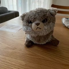 ベビーカーを探しています。