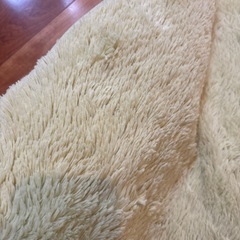 カーペットの画像