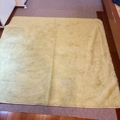 カーペット