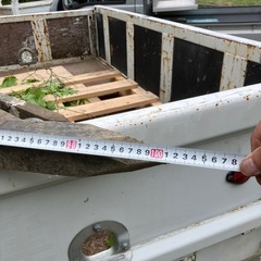 プラ杭 あげますの画像