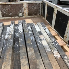 プラ杭 あげますの画像