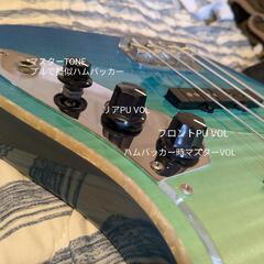 Bacchus(バッカス)WL434S FM-ALD BLU-GRD ソフトケース付きの画像