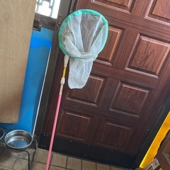 虫取り網