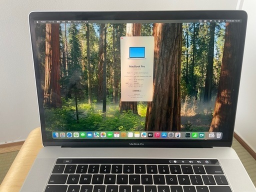 MacBook Pro シルバー 2019-15.6インチ