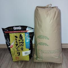 令和6年産コシヒカリ10キロ