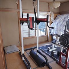 ROTEC(アイロテック) チン&ディップスタンド 懸垂器具【横...