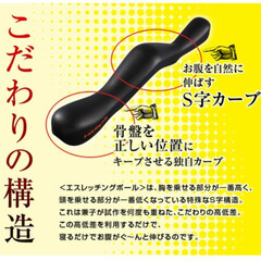 【定価9418円】兼子ただし エスレッチングポールの画像