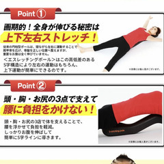 【定価9418円】兼子ただし エスレッチングポールの画像