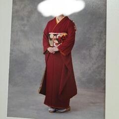 振り袖　フルセット　無地　着物のやまと