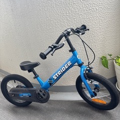 ストライダー 14X