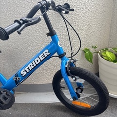 ストライダー 14Xの画像