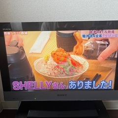 SONY 液晶デジタルテレビ KDL-22EX300