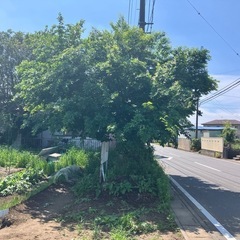 木の伐採、空き家、空き地の管理行います