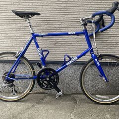 GIOS MIGNON 改 2x8s（50-34t・11-32t）