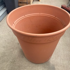 大型植木鉢