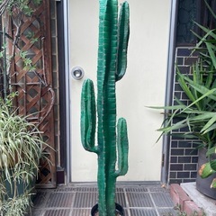 【柱サボテン風のフェイクグリーン（人工観葉植物）お譲りします🌵】