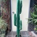 ランキングキーワードに紐づく投稿画像-観葉植物