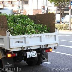 造園経験者大歓迎！！日当￥11，000～未経験から活躍できる！ ...