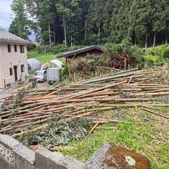 竹ウッドチップ　伐倒済　竹　持ち帰り放題　薪　キャンプ薪の画像